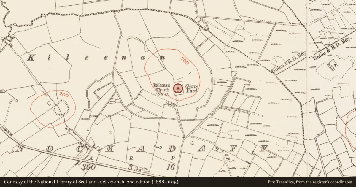 Ordnance Survey six-inch map, 2nd edition (1888–1915) covering the location of Church, Knockadaff, County Roscommon, with a pin at the register's coordinates
