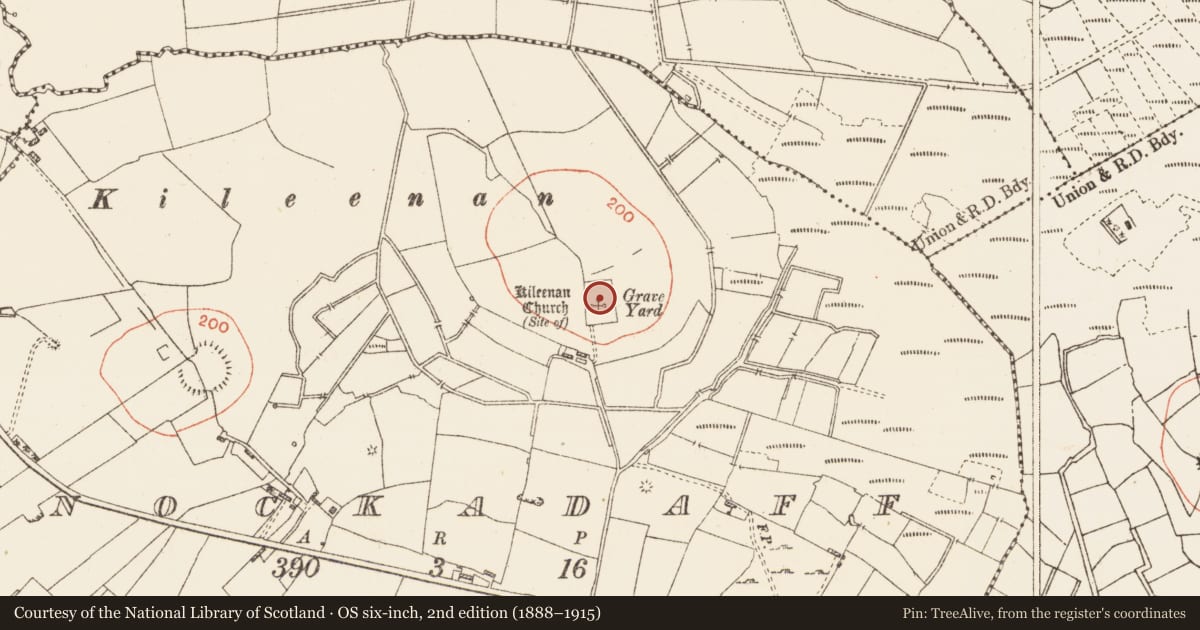Ordnance Survey six-inch map, 2nd edition (1888–1915) covering the location of Ecclesiastical enclosure, Knockadaff, County Roscommon, with a pin at the register's coordinates