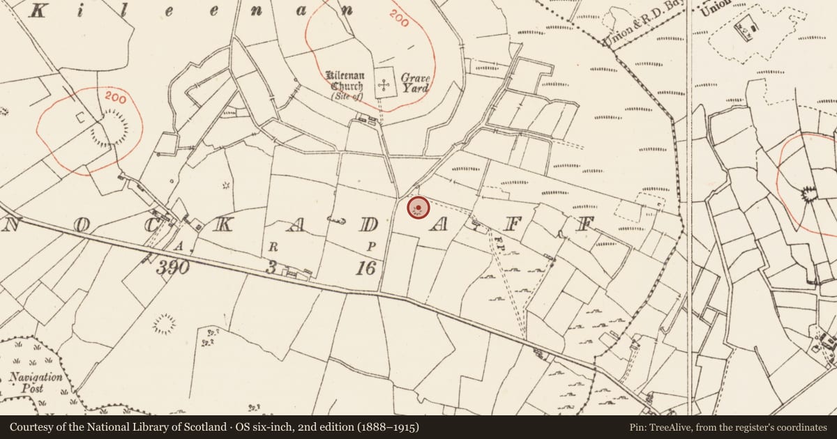 Ordnance Survey six-inch map, 2nd edition (1888–1915) covering the location of Hut site, Knockadaff, County Roscommon, with a pin at the register's coordinates