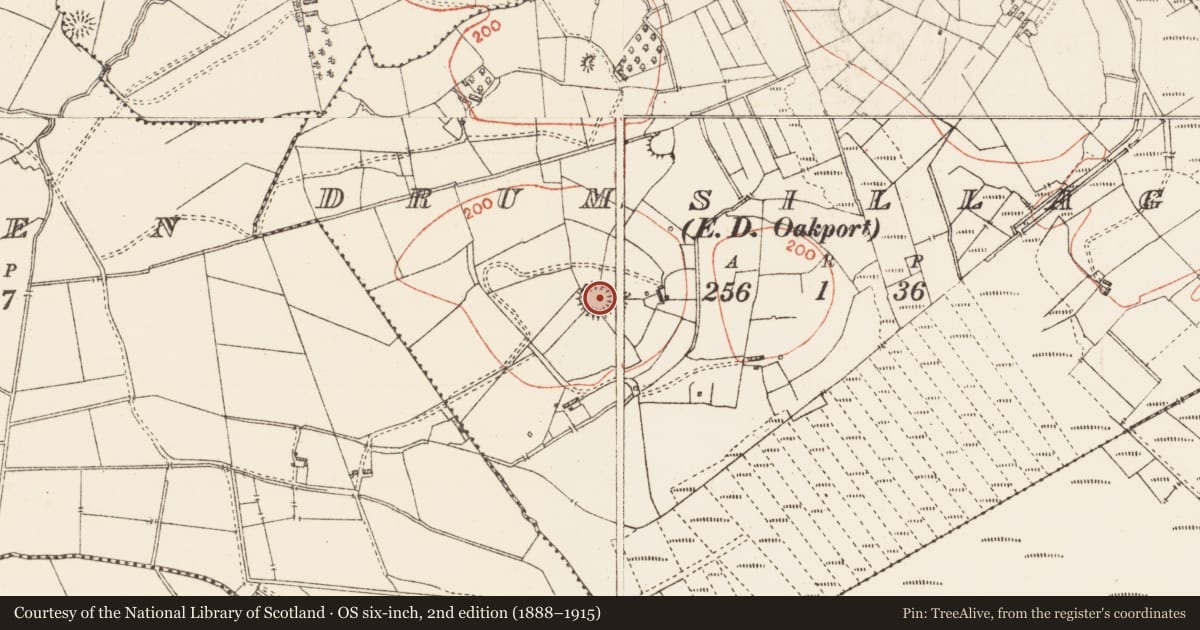 Ordnance Survey six-inch map, 2nd edition (1888–1915) covering the location of Ringfort - rath, Drumsillagh, County Roscommon, with a pin at the register's coordinates