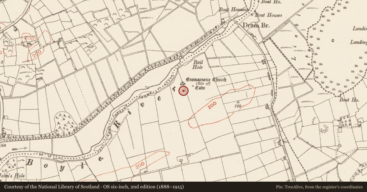 Ordnance Survey six-inch map, 2nd edition (1888–1915) covering the location of Field system, Warren Or Drum, County Roscommon, with a pin at the register's coordinates