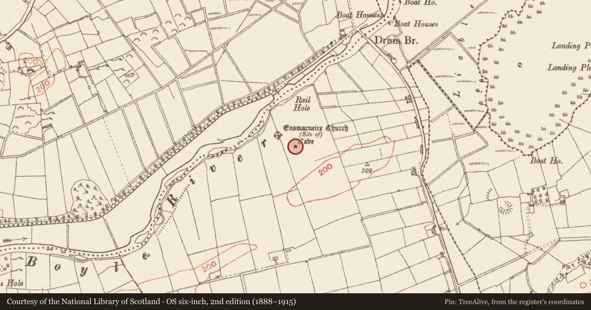 Ordnance Survey six-inch map, 2nd edition (1888–1915) covering the location of Road - road/trackway, Warren Or Drum, County Roscommon, with a pin at the register's coordinates