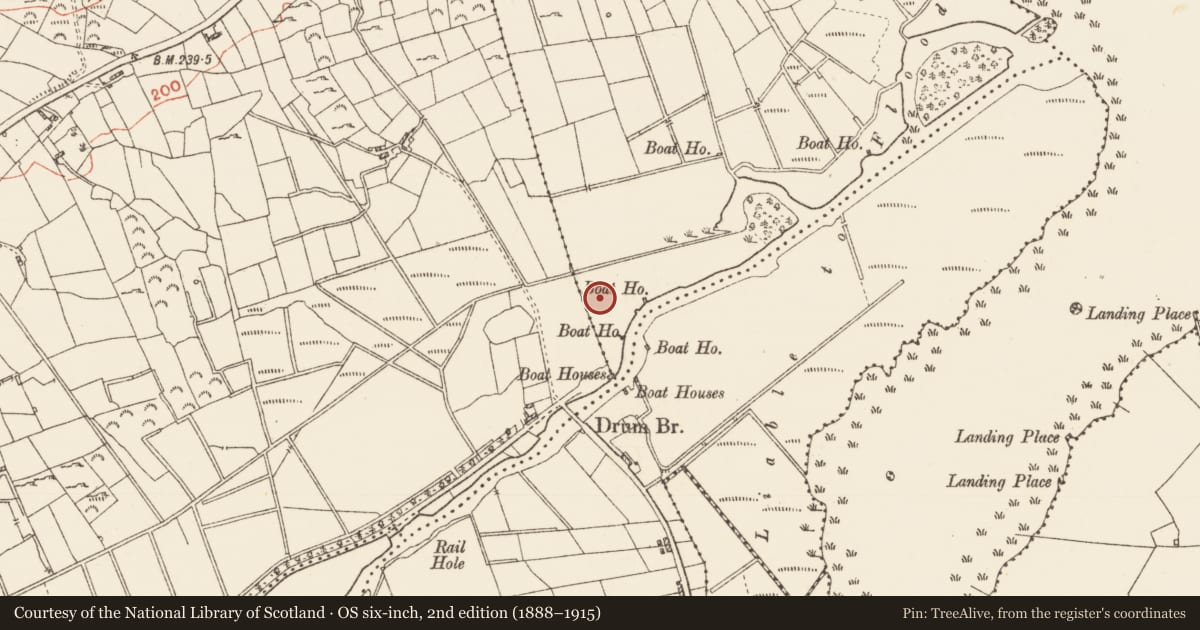 Ordnance Survey six-inch map, 2nd edition (1888–1915) covering the location of Road - road/trackway, Tawnytaskin, County Roscommon, with a pin at the register's coordinates