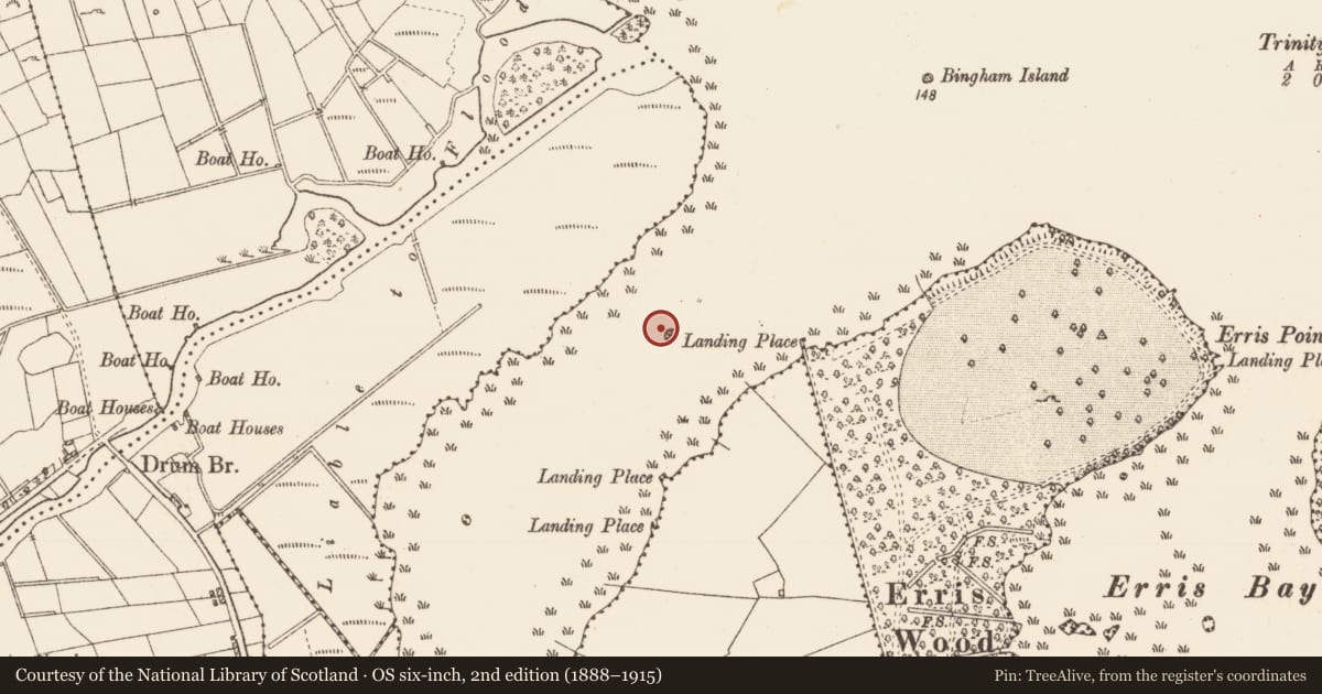 Ordnance Survey six-inch map, 2nd edition (1888–1915) covering the location of Crannog, Lough Key, County Roscommon, with a pin at the register's coordinates