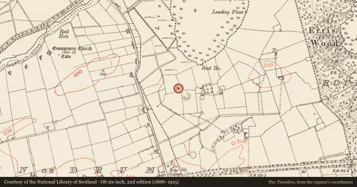 Ordnance Survey six-inch map, 2nd edition (1888–1915) covering the location of Ringfort - rath, Erris, County Roscommon, with a pin at the register's coordinates