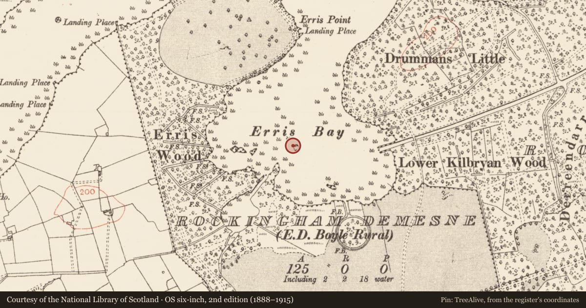 Ordnance Survey six-inch map, 2nd edition (1888–1915) covering the location of Crannog, Lough Key, County Roscommon, with a pin at the register's coordinates