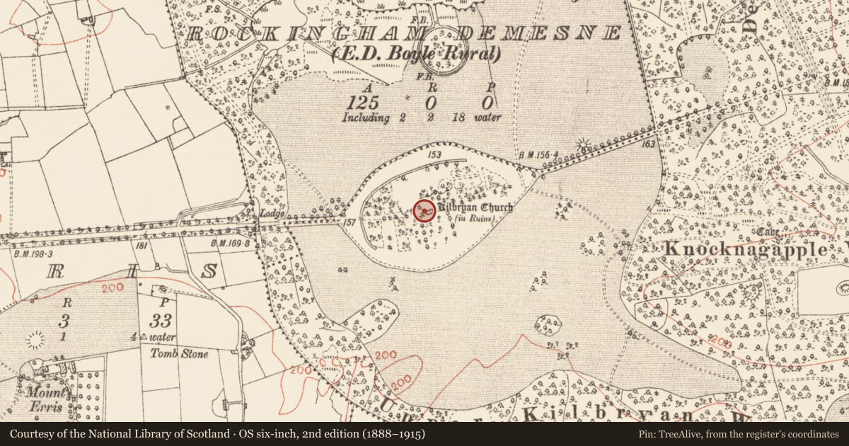 Ordnance Survey six-inch map, 2nd edition (1888–1915) covering the location of Ecclesiastical enclosure, Rockingham Demesne, County Roscommon, with a pin at the register's coordinates