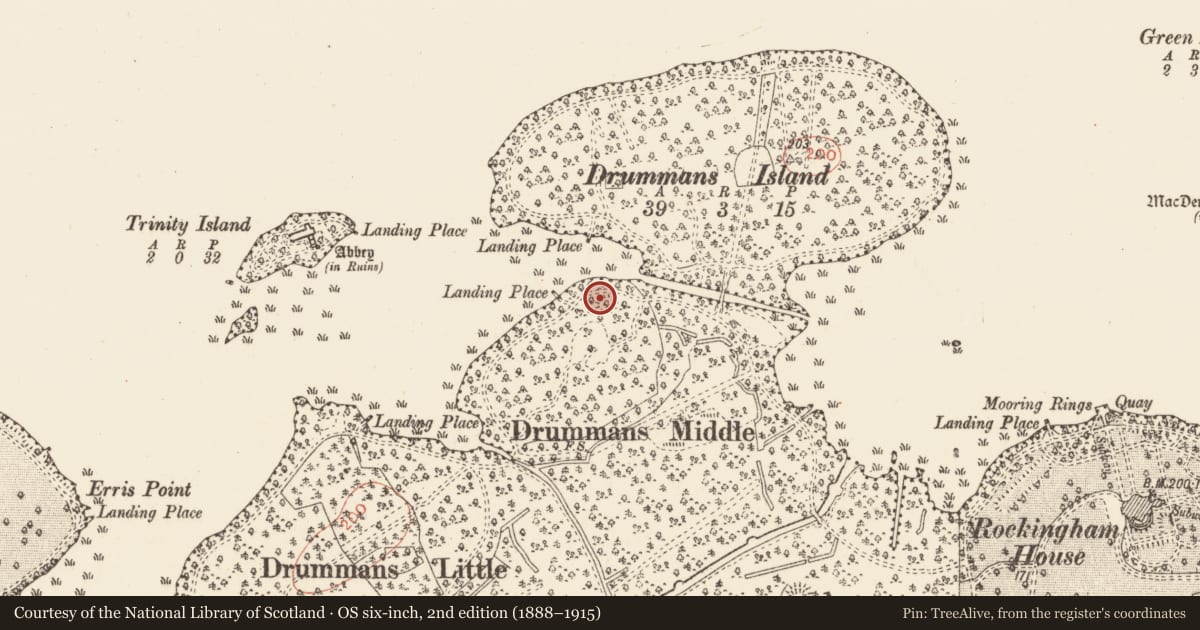 Ordnance Survey six-inch map, 2nd edition (1888–1915) covering the location of Ringfort - cashel, Rockingham Demesne, County Roscommon, with a pin at the register's coordinates