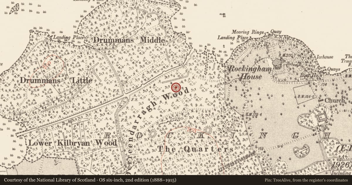 Ordnance Survey six-inch map, 2nd edition (1888–1915) covering the location of Ringfort - rath, Rockingham Demesne, County Roscommon, with a pin at the register's coordinates