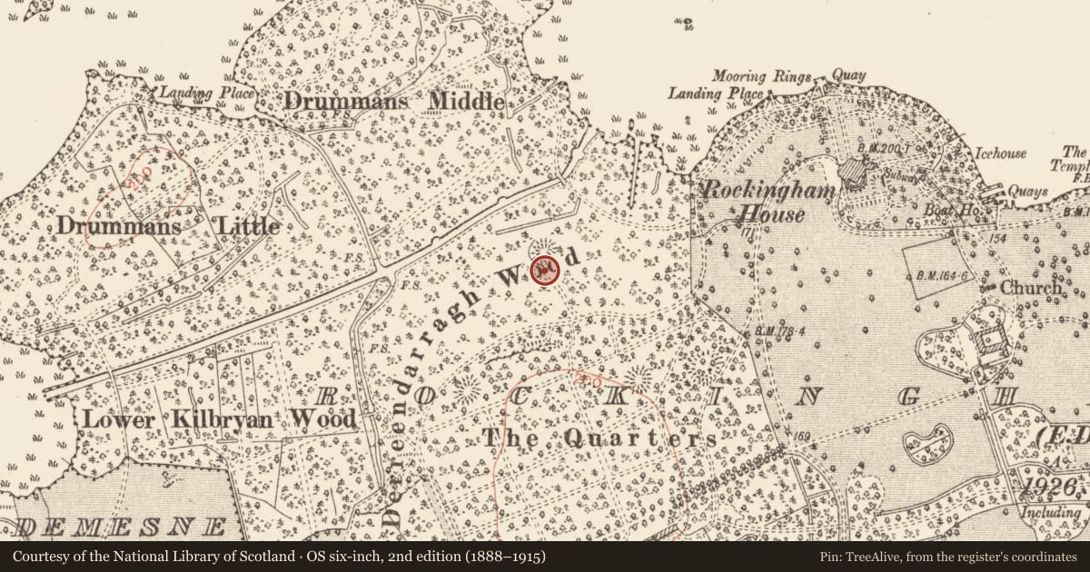 Ordnance Survey six-inch map, 2nd edition (1888–1915) covering the location of Enclosure, Rockingham Demesne, County Roscommon, with a pin at the register's coordinates