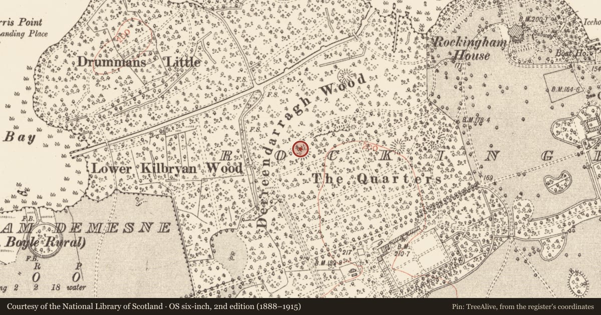 Ordnance Survey six-inch map, 2nd edition (1888–1915) covering the location of Ringfort - rath, Rockingham Demesne, County Roscommon, with a pin at the register's coordinates