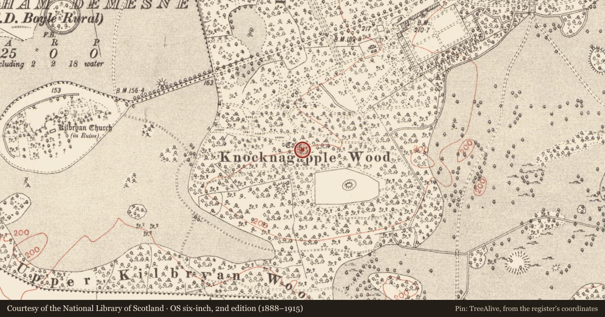 Ordnance Survey six-inch map, 2nd edition (1888–1915) covering the location of Ringfort - rath, Rockingham Demesne, County Roscommon, with a pin at the register's coordinates