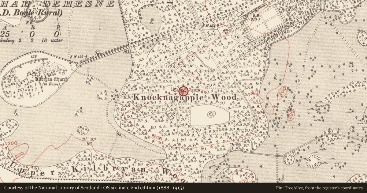 Ordnance Survey six-inch map, 2nd edition (1888–1915) covering the location of Souterrain, Rockingham Demesne, County Roscommon, with a pin at the register's coordinates