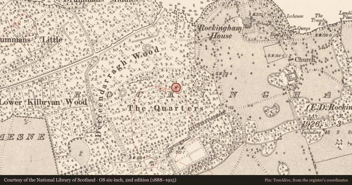 Ordnance Survey six-inch map, 2nd edition (1888–1915) covering the location of Ringfort - rath, Rockingham Demesne, County Roscommon, with a pin at the register's coordinates