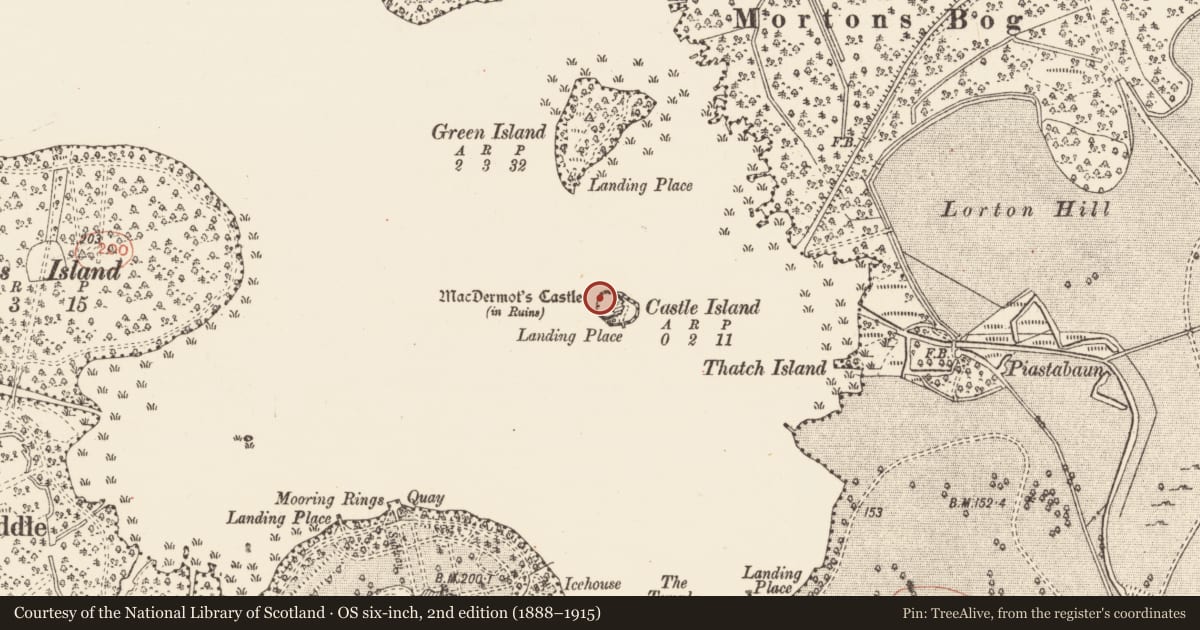 Ordnance Survey six-inch map, 2nd edition (1888–1915) covering the location of Ringfort - cashel, Castle Island, County Roscommon, with a pin at the register's coordinates