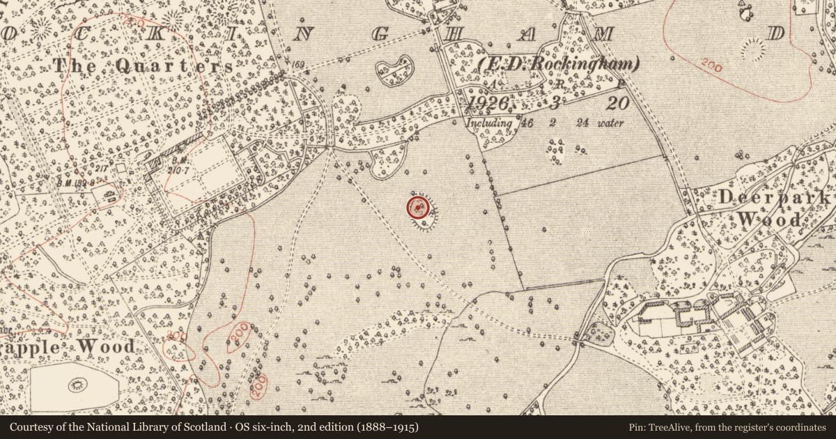 Ordnance Survey six-inch map, 2nd edition (1888–1915) covering the location of Designed landscape - tree-ring, Rockingham Demesne, County Roscommon, with a pin at the register's coordinates