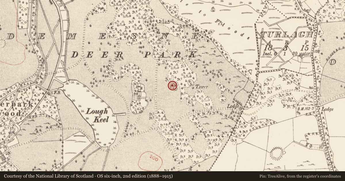 Ordnance Survey six-inch map, 2nd edition (1888–1915) covering the location of Ringfort - cashel, Rockingham Demesne, County Roscommon, with a pin at the register's coordinates