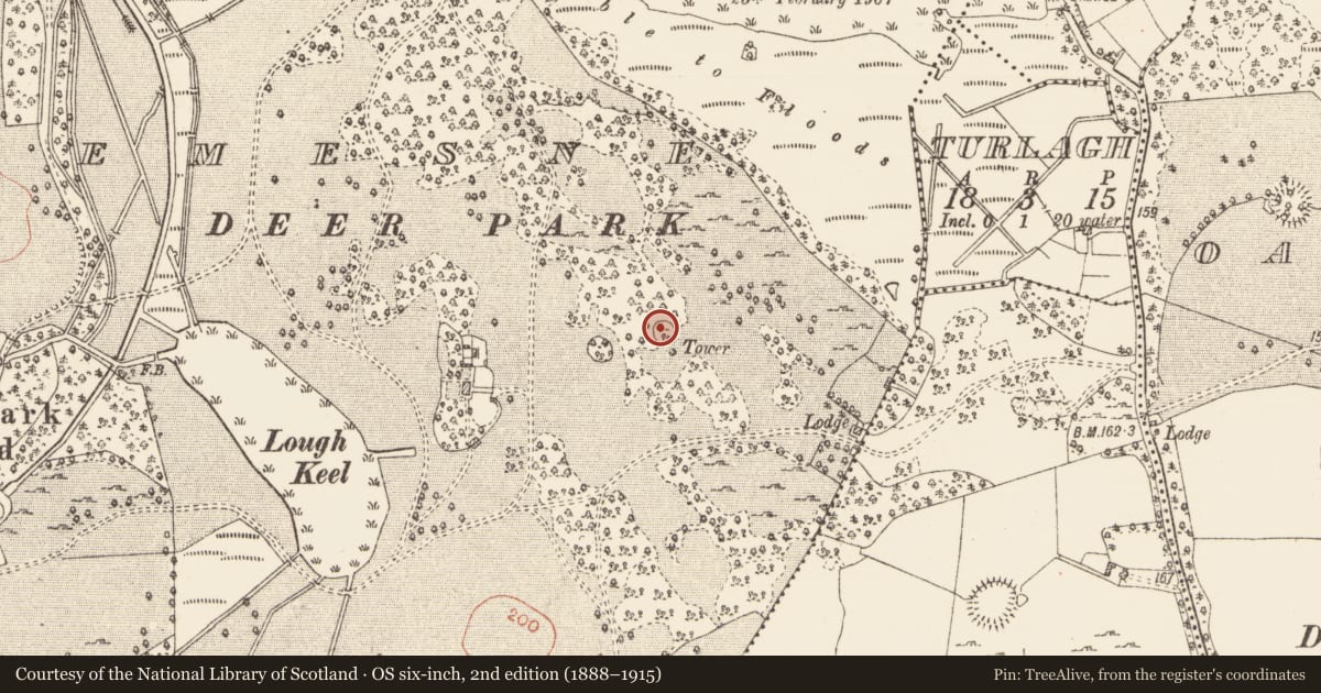 Ordnance Survey six-inch map, 2nd edition (1888–1915) covering the location of Ringfort - cashel, Rockingham Demesne, County Roscommon, with a pin at the register's coordinates
