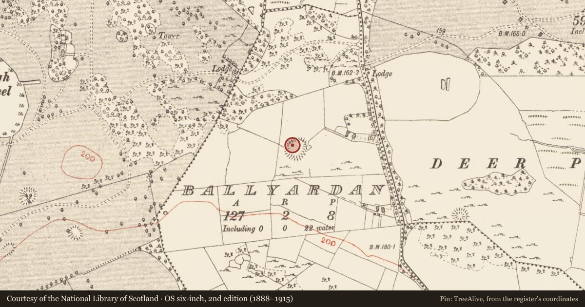 Ordnance Survey six-inch map, 2nd edition (1888–1915) covering the location of Ringfort - rath, Ballyardan, County Roscommon, with a pin at the register's coordinates