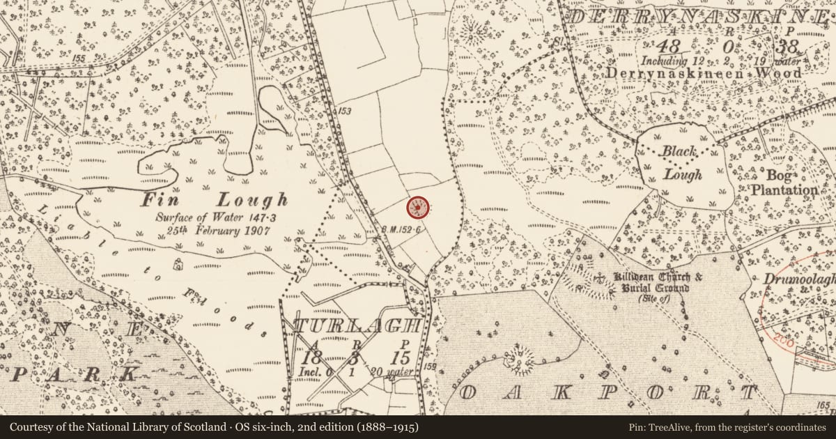 Ordnance Survey six-inch map, 2nd edition (1888–1915) covering the location of Ringfort - rath, Errironagh, County Roscommon, with a pin at the register's coordinates