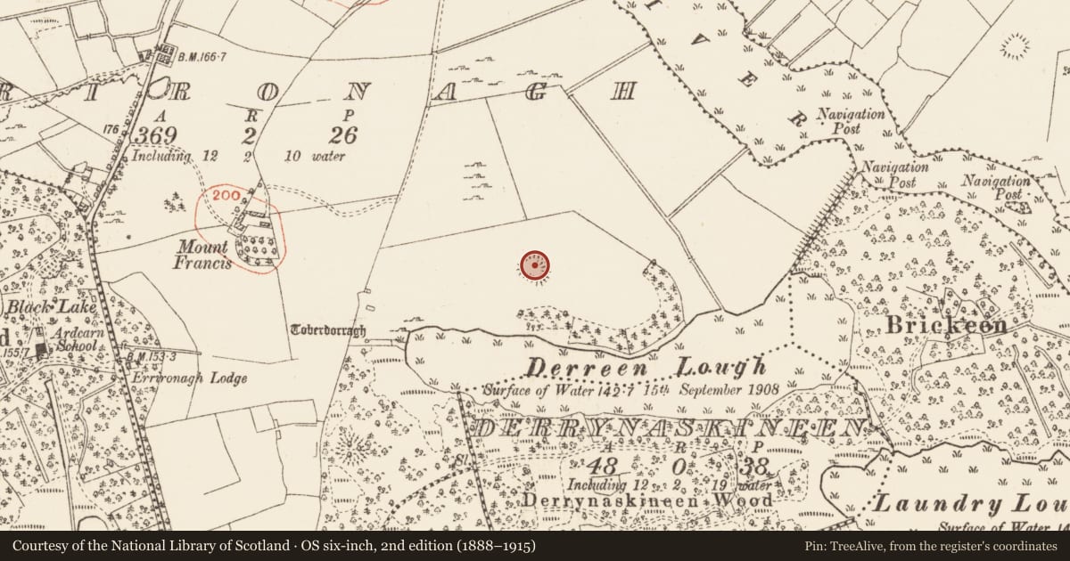 Ordnance Survey six-inch map, 2nd edition (1888–1915) covering the location of Ringfort - rath, Errironagh, County Roscommon, with a pin at the register's coordinates