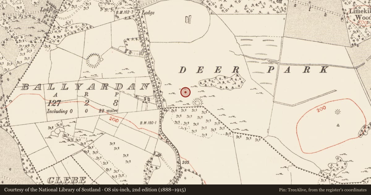 Ordnance Survey six-inch map, 2nd edition (1888–1915) covering the location of Field system, Ardcarn, Oakport Demesne, County Roscommon, with a pin at the register's coordinates