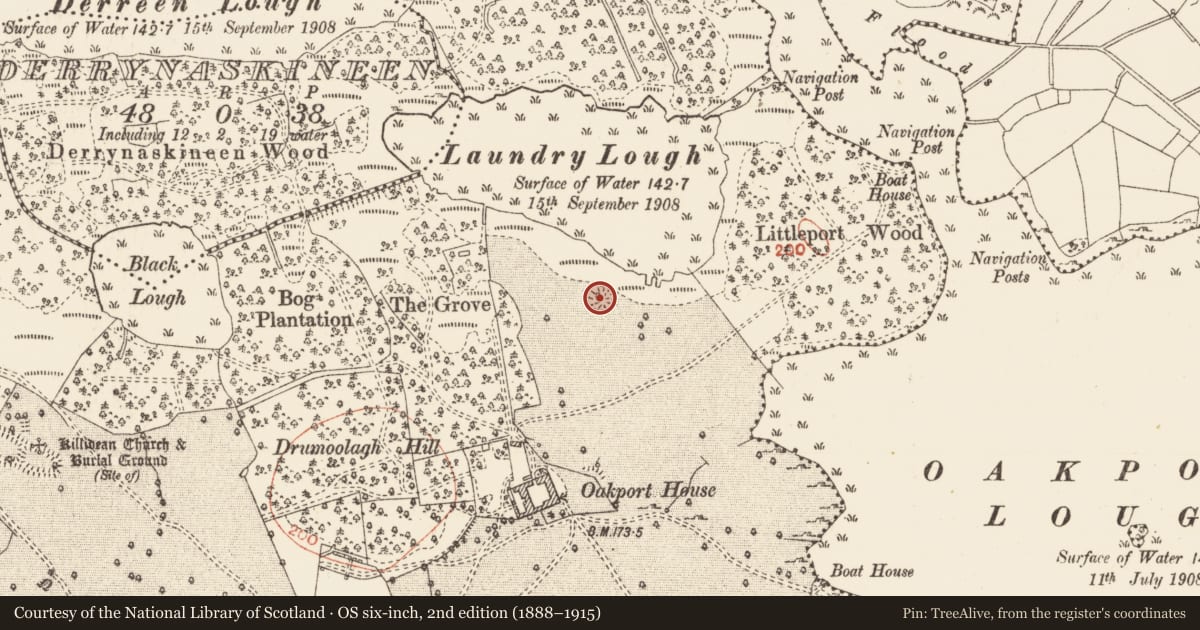 Ordnance Survey six-inch map, 2nd edition (1888–1915) covering the location of Ringfort - rath, Oakport Demesne, County Roscommon, with a pin at the register's coordinates