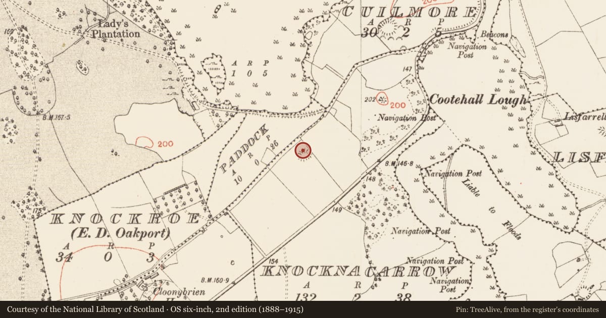 Ordnance Survey six-inch map, 2nd edition (1888–1915) covering the location of Ringfort - rath, Knocknacarrow, County Roscommon, with a pin at the register's coordinates