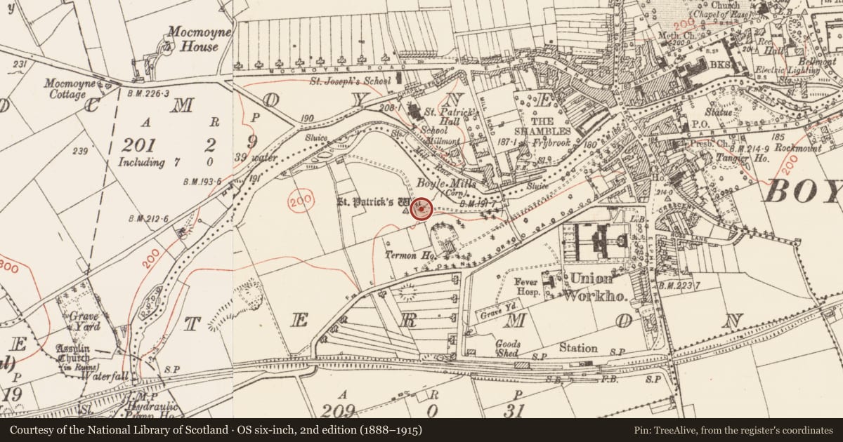 Ordnance Survey six-inch map, 2nd edition (1888–1915) covering the location of Ritual site - holy/saint's stone, Termon, County Roscommon, with a pin at the register's coordinates