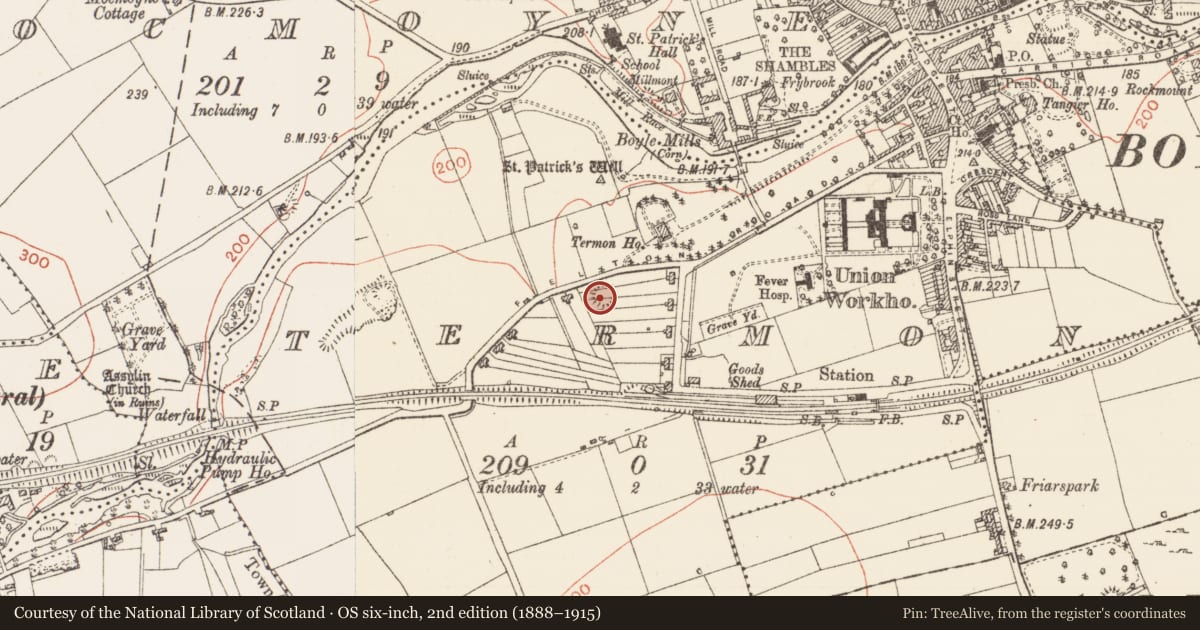 Ordnance Survey six-inch map, 2nd edition (1888–1915) covering the location of Ringfort - rath, Termon, County Roscommon, with a pin at the register's coordinates
