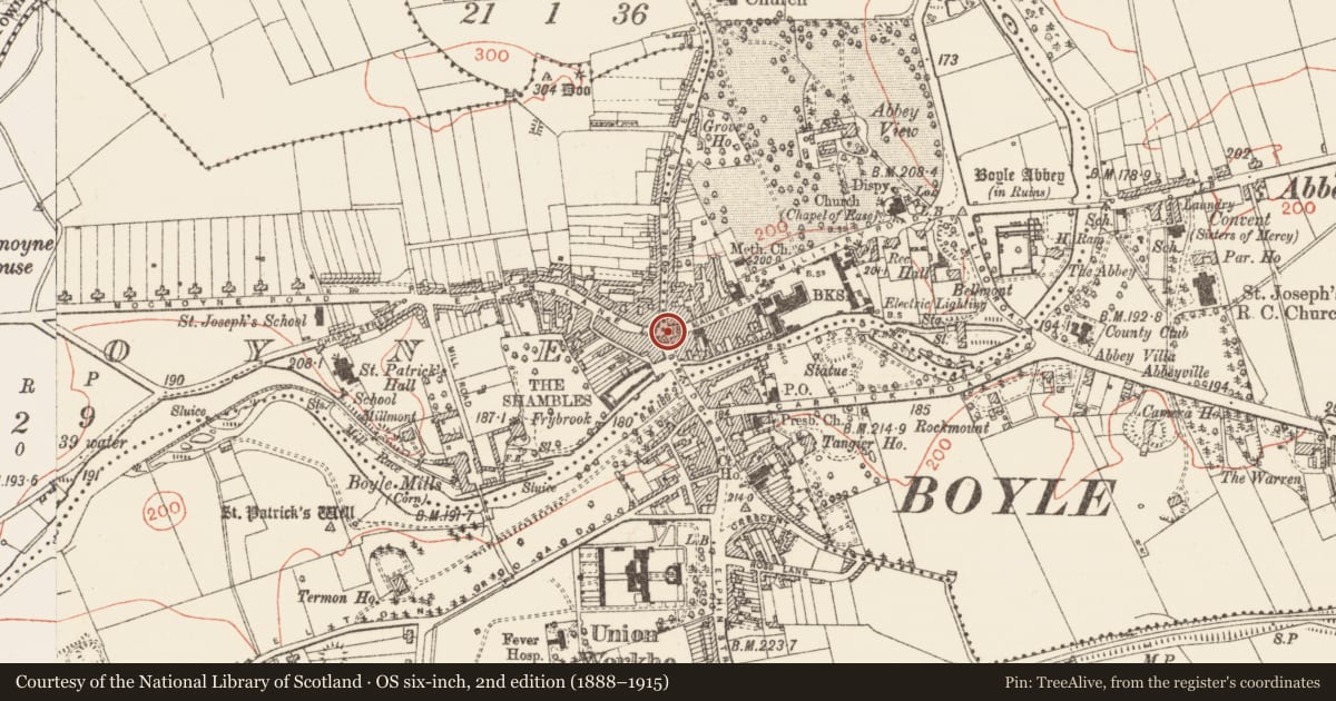 Ordnance Survey six-inch map, 2nd edition (1888–1915) covering the location of Historic town, County Roscommon, with a pin at the register's coordinates