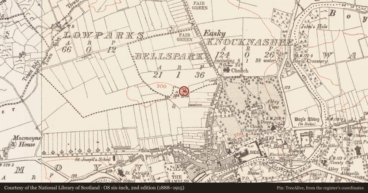 Ordnance Survey six-inch map, 2nd edition (1888–1915) covering the location of Barrow - unclassified, Mocmoyne, County Roscommon, with a pin at the register's coordinates