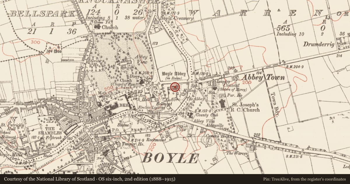 Ordnance Survey six-inch map, 2nd edition (1888–1915) covering the location of Religious house - Cistercian monks, Knocknashee, County Roscommon, with a pin at the register's coordinates