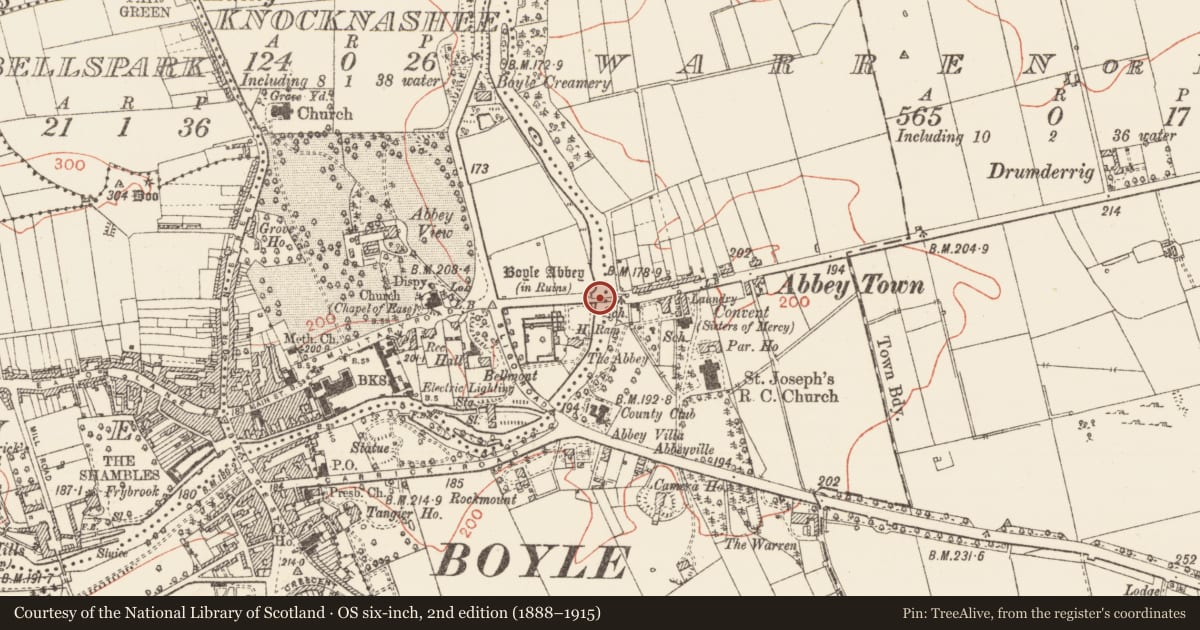 Ordnance Survey six-inch map, 2nd edition (1888–1915) covering the location of Bridge, Knocknashee, Warren Or Drum, County Roscommon, with a pin at the register's coordinates