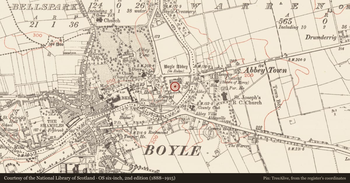 Ordnance Survey six-inch map, 2nd edition (1888–1915) covering the location of Bawn, Knocknashee, County Roscommon, with a pin at the register's coordinates