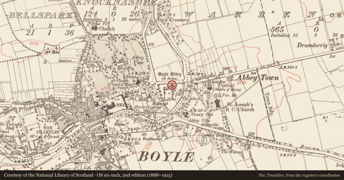 Ordnance Survey six-inch map, 2nd edition (1888–1915) covering the location of Graveslab, Knocknashee, County Roscommon, with a pin at the register's coordinates
