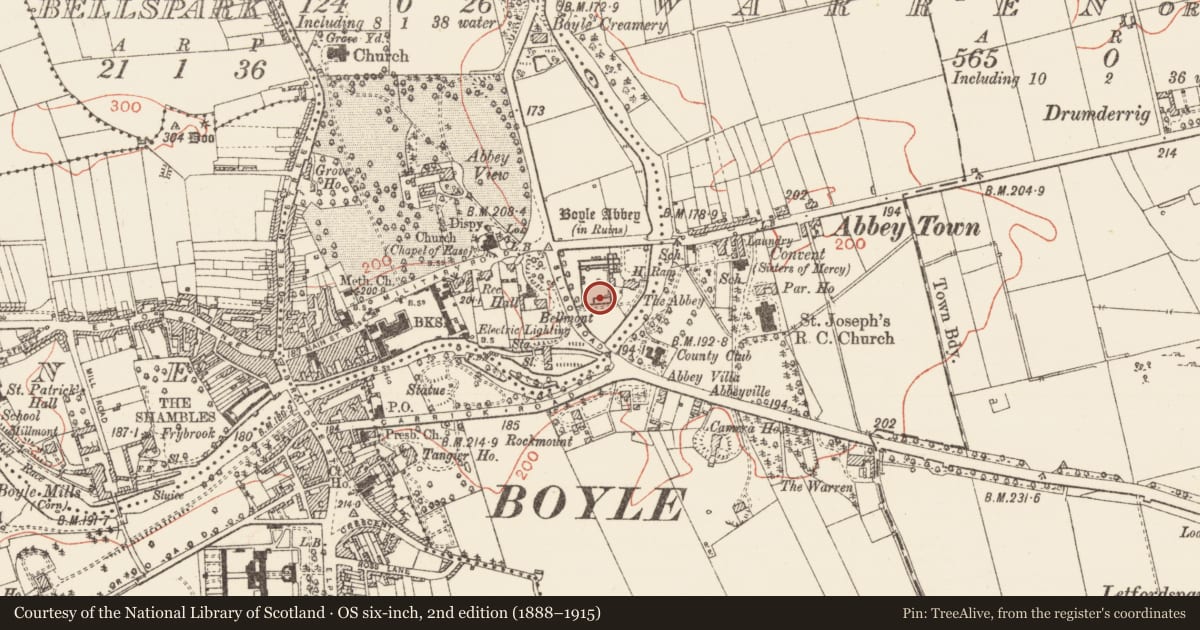 Ordnance Survey six-inch map, 2nd edition (1888–1915) covering the location of Graveslab, Knocknashee, County Roscommon, with a pin at the register's coordinates