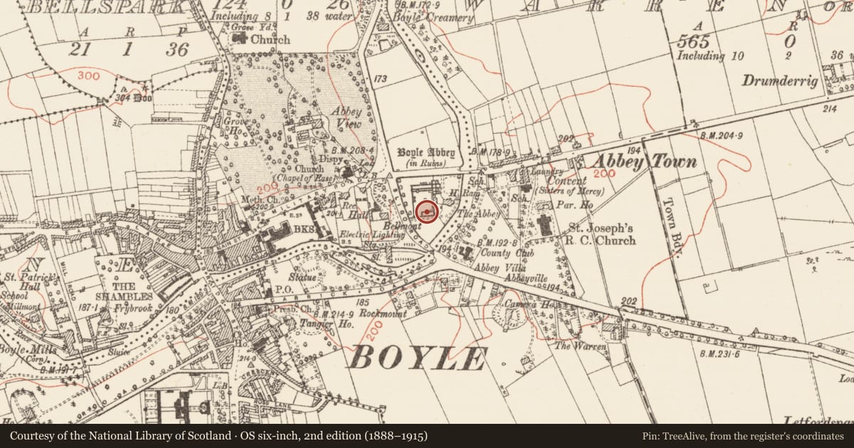 Ordnance Survey six-inch map, 2nd edition (1888–1915) covering the location of Graveslab, Knocknashee, County Roscommon, with a pin at the register's coordinates