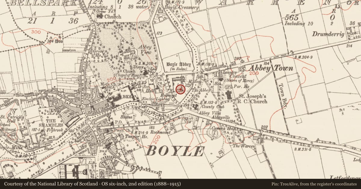 Ordnance Survey six-inch map, 2nd edition (1888–1915) covering the location of Graveslab, Knocknashee, County Roscommon, with a pin at the register's coordinates