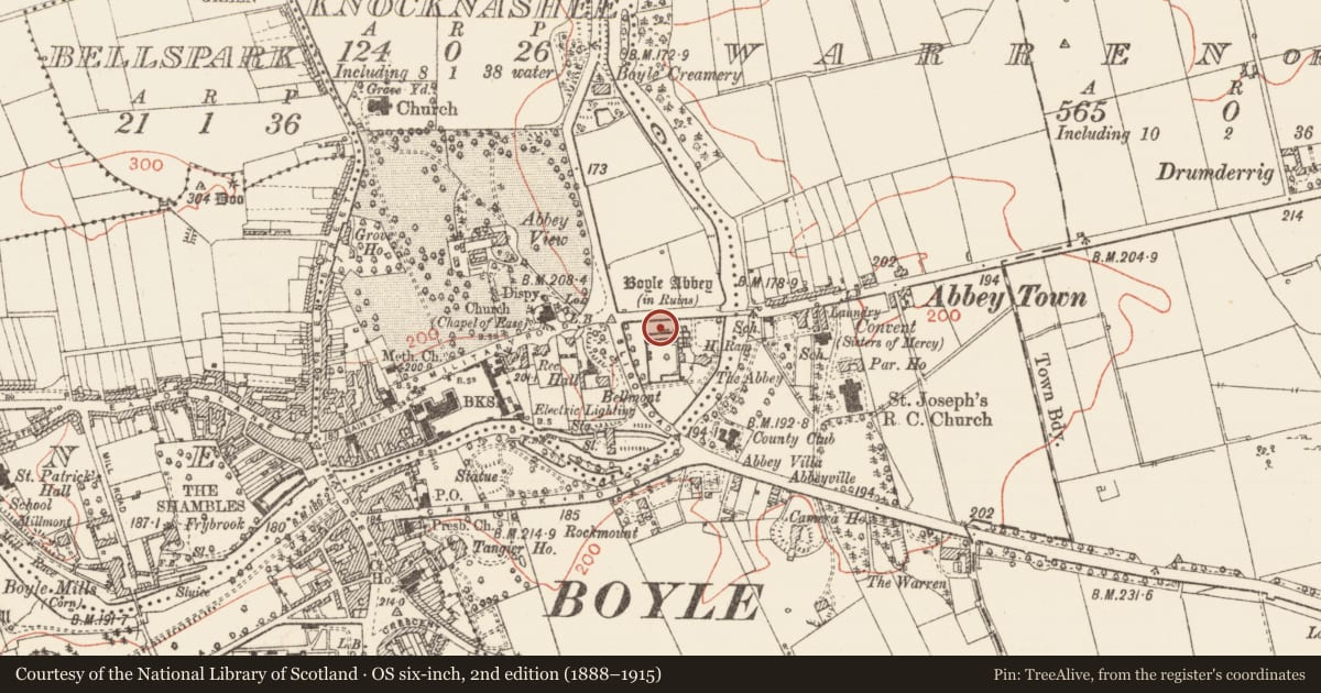 Ordnance Survey six-inch map, 2nd edition (1888–1915) covering the location of Graveslab, Knocknashee, County Roscommon, with a pin at the register's coordinates