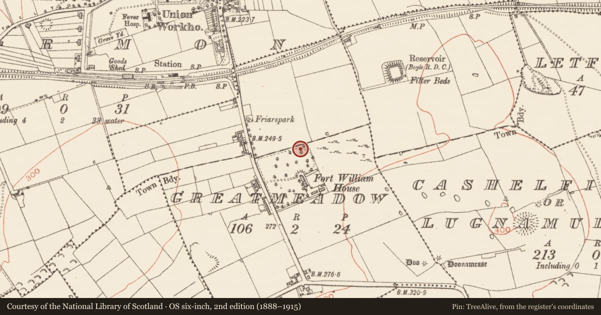 Ordnance Survey six-inch map, 2nd edition (1888–1915) covering the location of Designed landscape - tree-ring, Greatmeadow, County Roscommon, with a pin at the register's coordinates