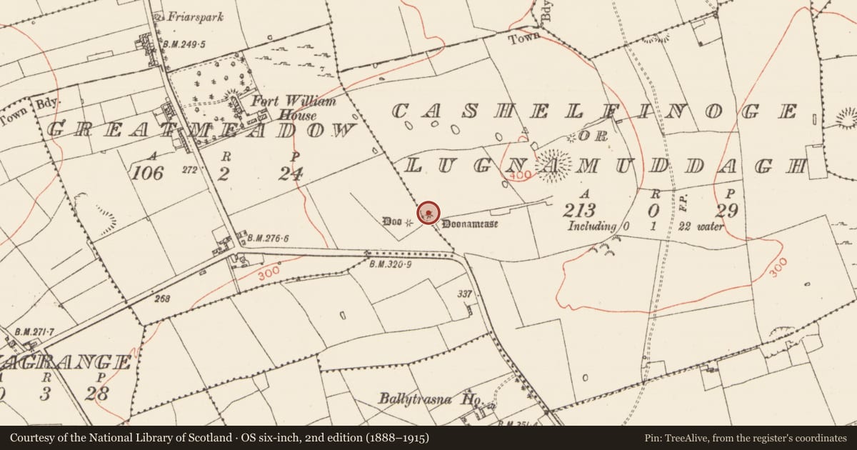 Ordnance Survey six-inch map, 2nd edition (1888–1915) covering the location of Barrow - bowl-barrow, Cashelfinoge Or Lugnamuddagh, County Roscommon, with a pin at the register's coordinates