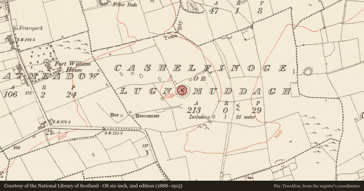 Ordnance Survey six-inch map, 2nd edition (1888–1915) covering the location of Ringfort - rath, Cashelfinoge Or Lugnamuddagh, County Roscommon, with a pin at the register's coordinates