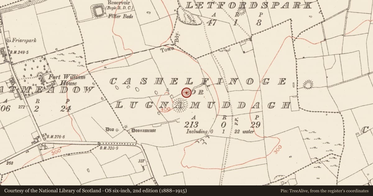 Ordnance Survey six-inch map, 2nd edition (1888–1915) covering the location of Earthwork, Cashelfinoge Or Lugnamuddagh, County Roscommon, with a pin at the register's coordinates