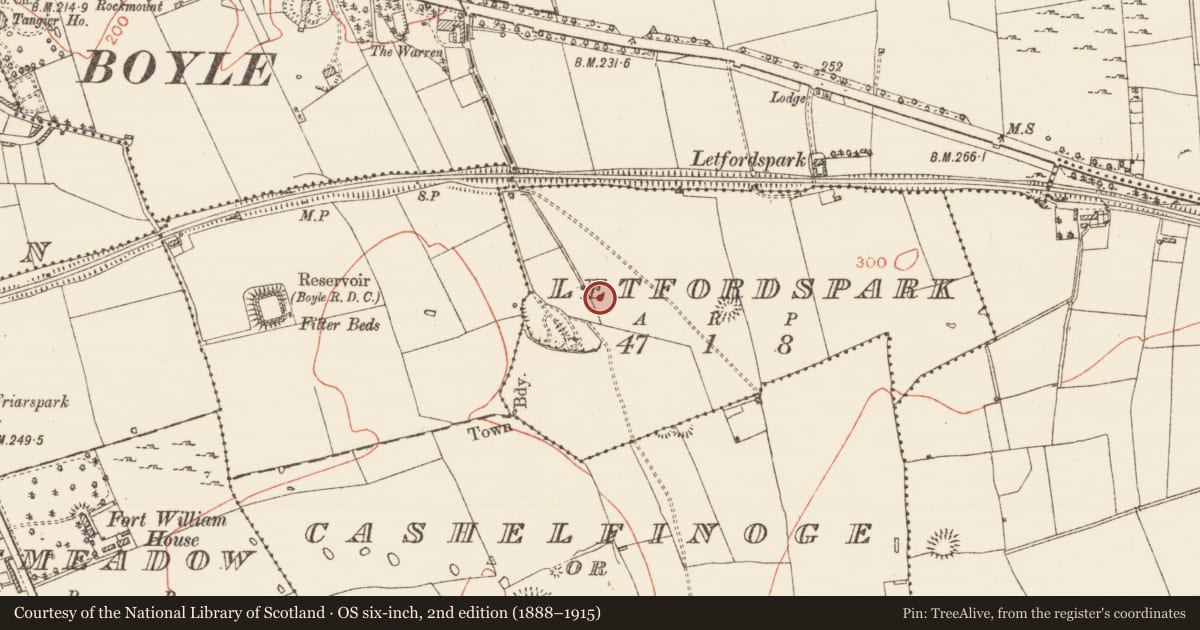Ordnance Survey six-inch map, 2nd edition (1888–1915) covering the location of Ringfort - rath, Letfordspark, County Roscommon, with a pin at the register's coordinates