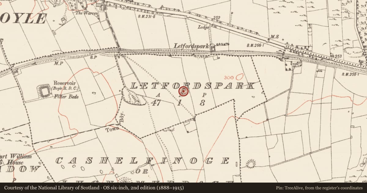 Ordnance Survey six-inch map, 2nd edition (1888–1915) covering the location of Ringfort - rath, Letfordspark, County Roscommon, with a pin at the register's coordinates
