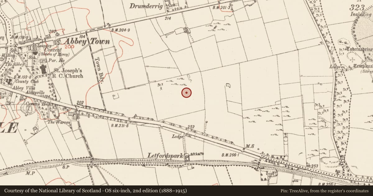 Ordnance Survey six-inch map, 2nd edition (1888–1915) covering the location of Road - road/trackway, Warren Or Drum, County Roscommon, with a pin at the register's coordinates