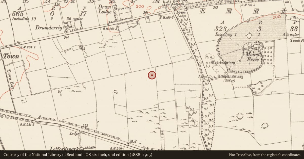 Ordnance Survey six-inch map, 2nd edition (1888–1915) covering the location of Field system, Warren Or Drum, Erris, County Roscommon, with a pin at the register's coordinates