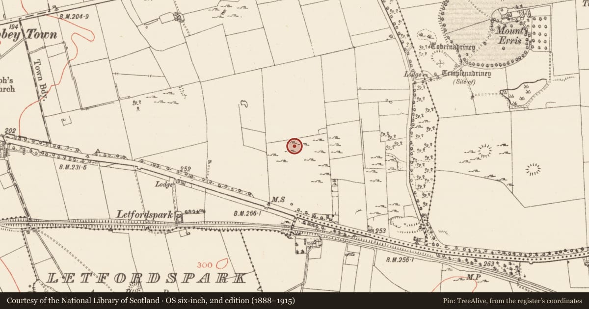 Ordnance Survey six-inch map, 2nd edition (1888–1915) covering the location of House - indeterminate date, Warren Or Drum, County Roscommon, with a pin at the register's coordinates
