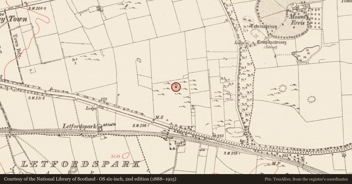 Ordnance Survey six-inch map, 2nd edition (1888–1915) covering the location of House - indeterminate date, Warren Or Drum, County Roscommon, with a pin at the register's coordinates